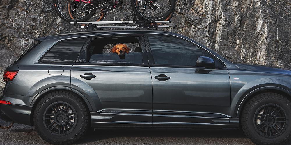 Audi Q7 Black Rhino Arches